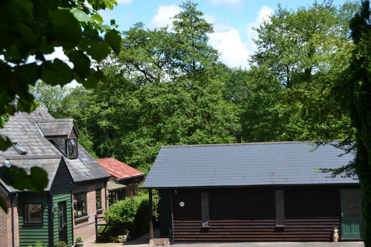 Вилла Arrowwood Self Catering Кингтон Экстерьер фото