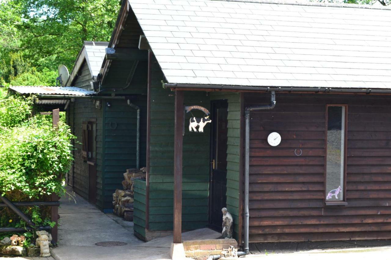 Вилла Arrowwood Self Catering Кингтон Экстерьер фото